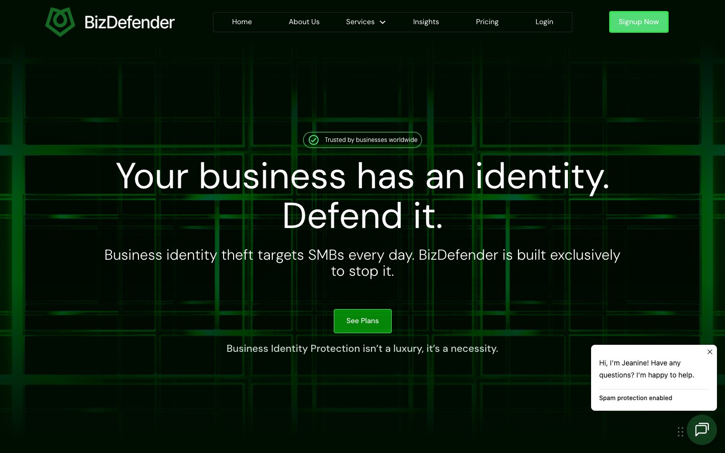 BizDefender — Fraud protection website built by Devdwell